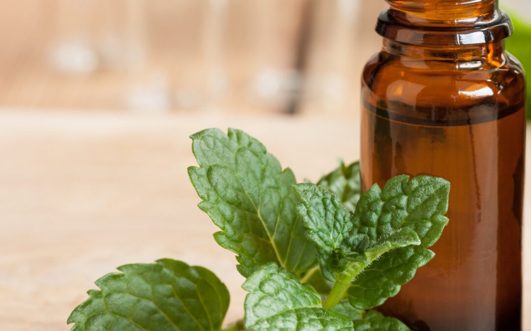 Përfitimet e vajit të mentes